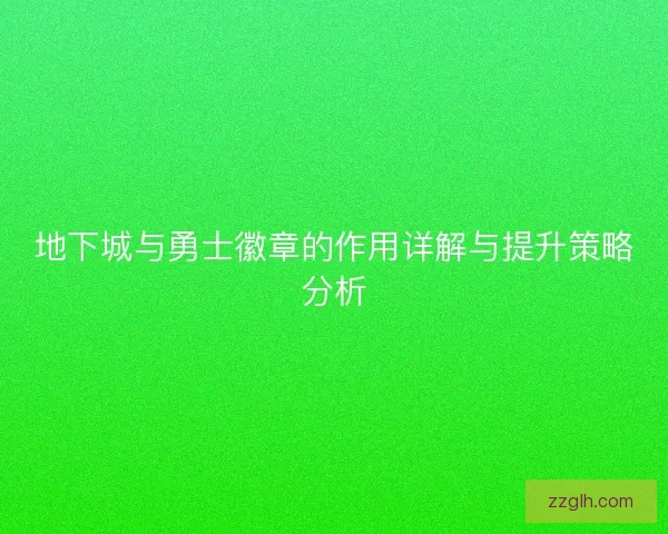 地下城与勇士徽章的作用详解与提升策略分析